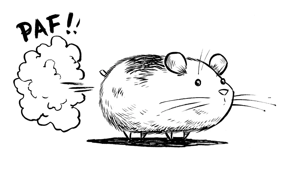 Hamster colouring