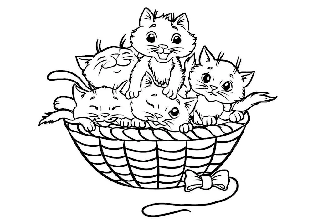 Cats. Colouring