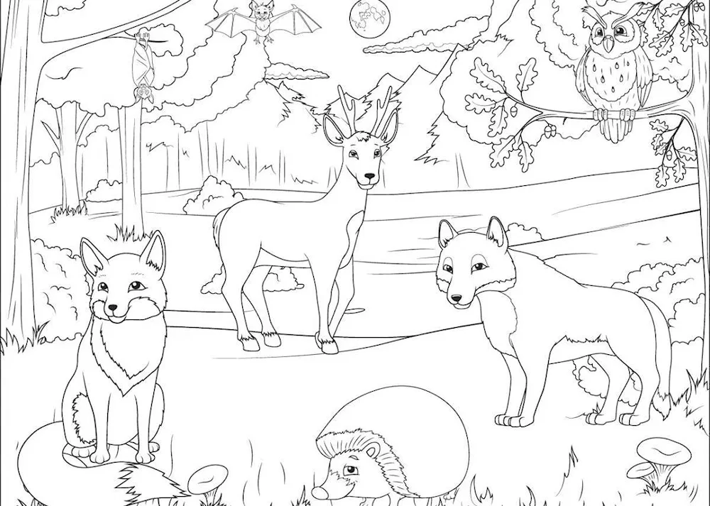 Colouring forest animals