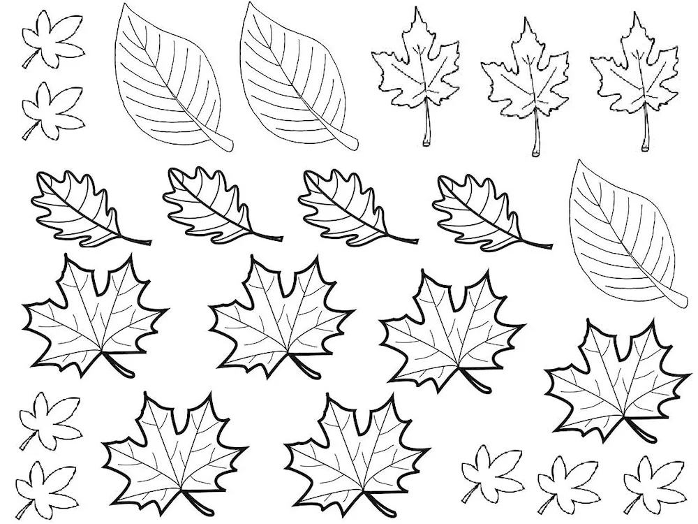 Tree leaf colouring for kids