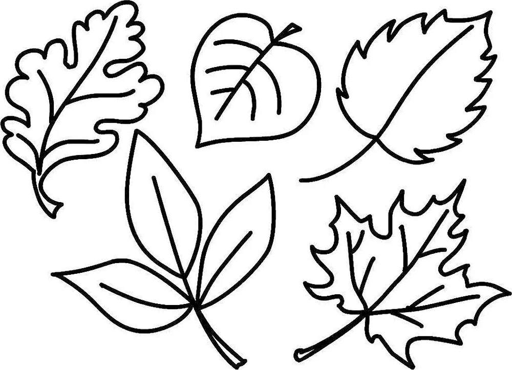 Leaf stencil for cutting out