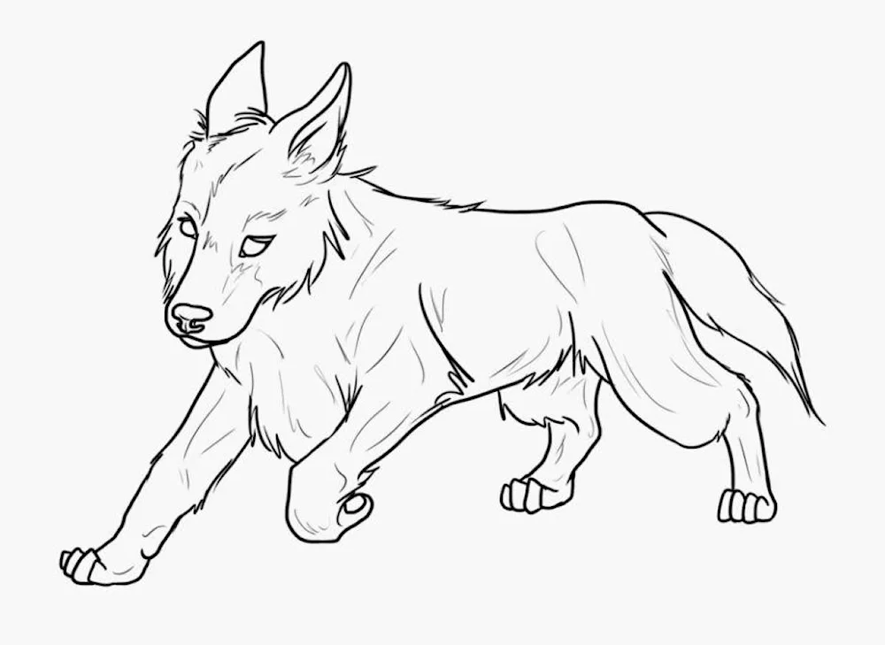 Sketch German Shepherd dog sketch
