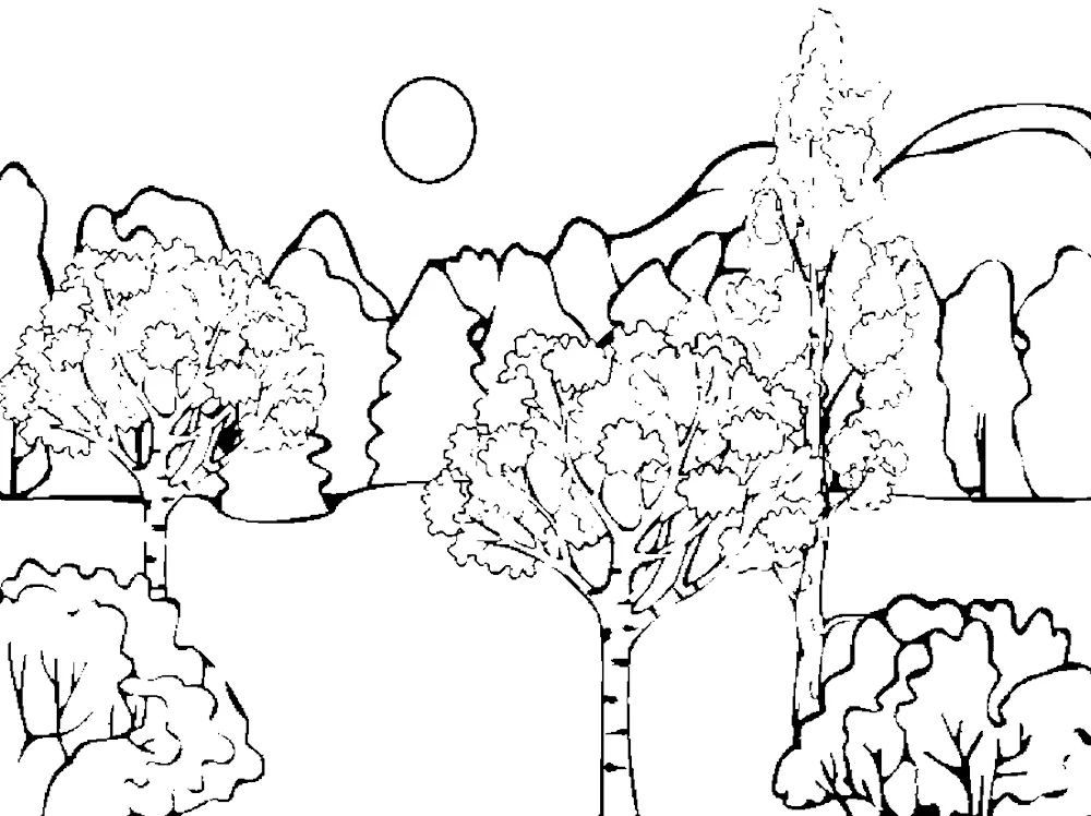 Colouring Landscape