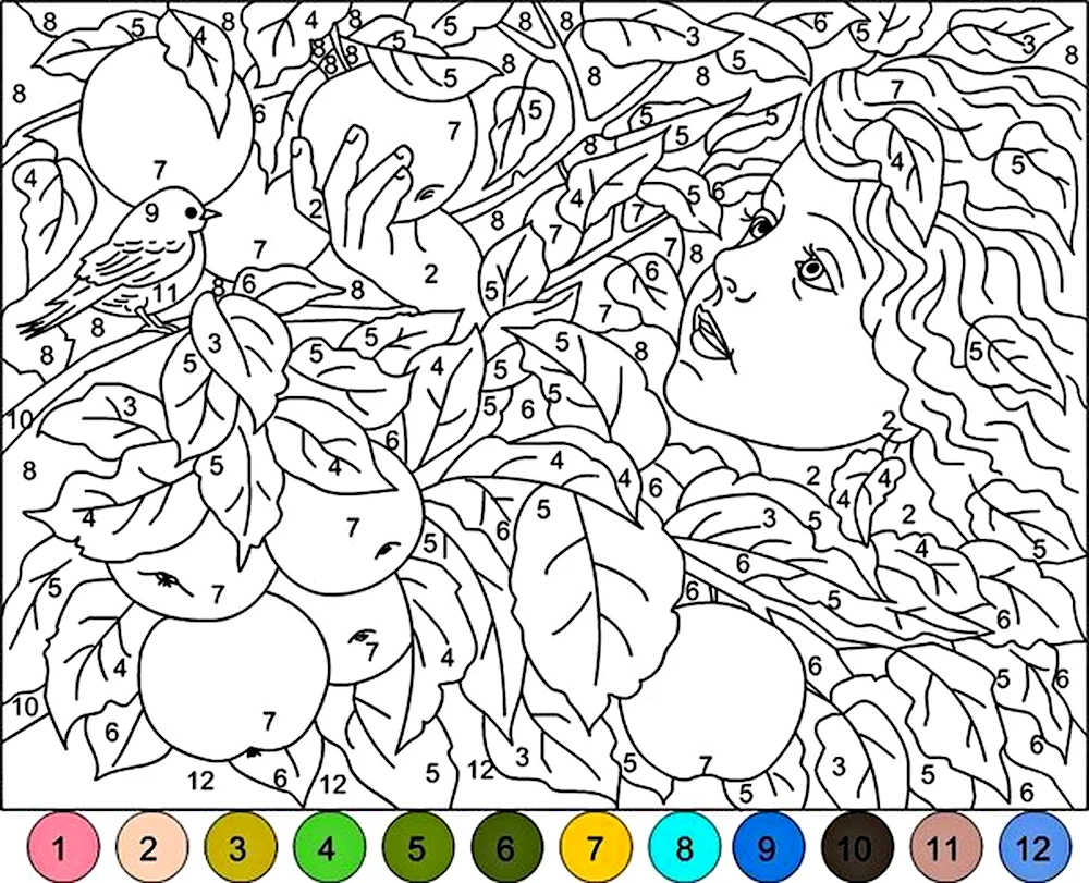 Colouring pages paint-by-numbers