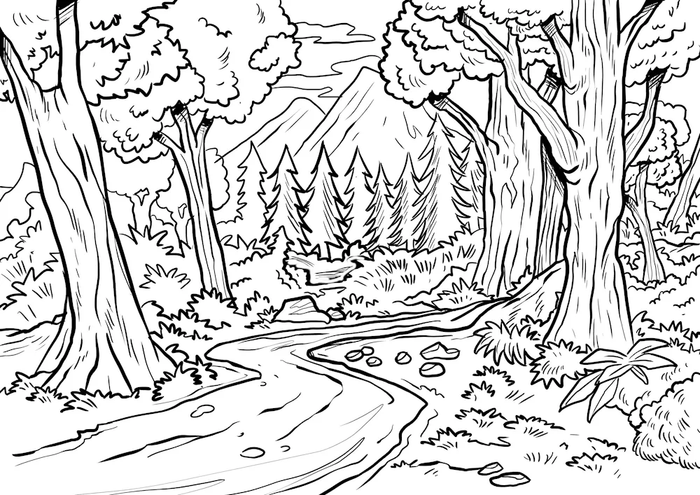 Colouring nature
