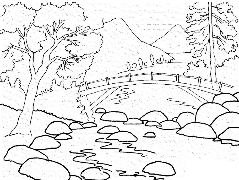 Nature colouring