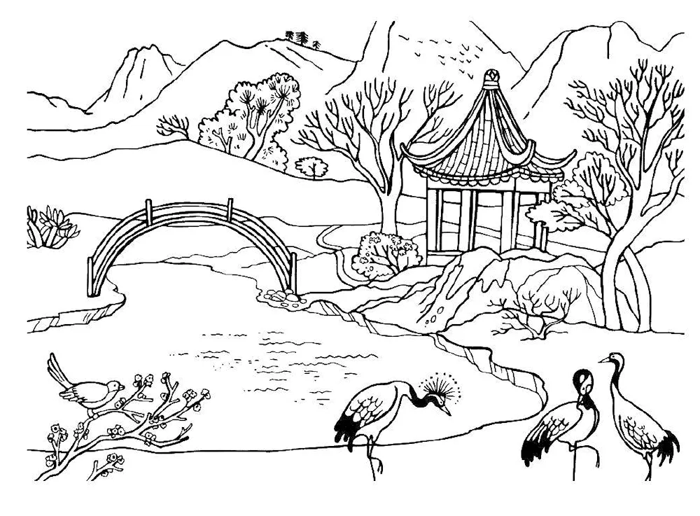 Nature colouring