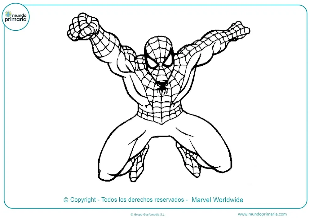 Spider-Man colouring book