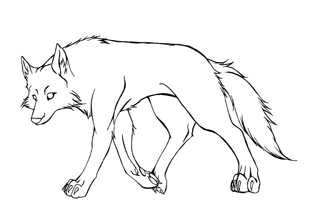 Wolf colouring