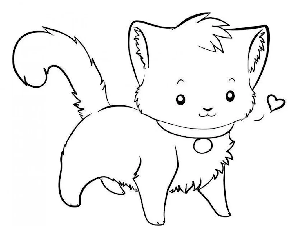 Cat drawing