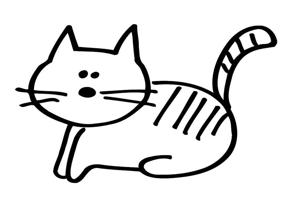 Kitten. Colouring