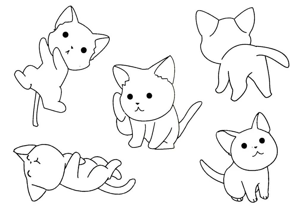 Colouring kittens little