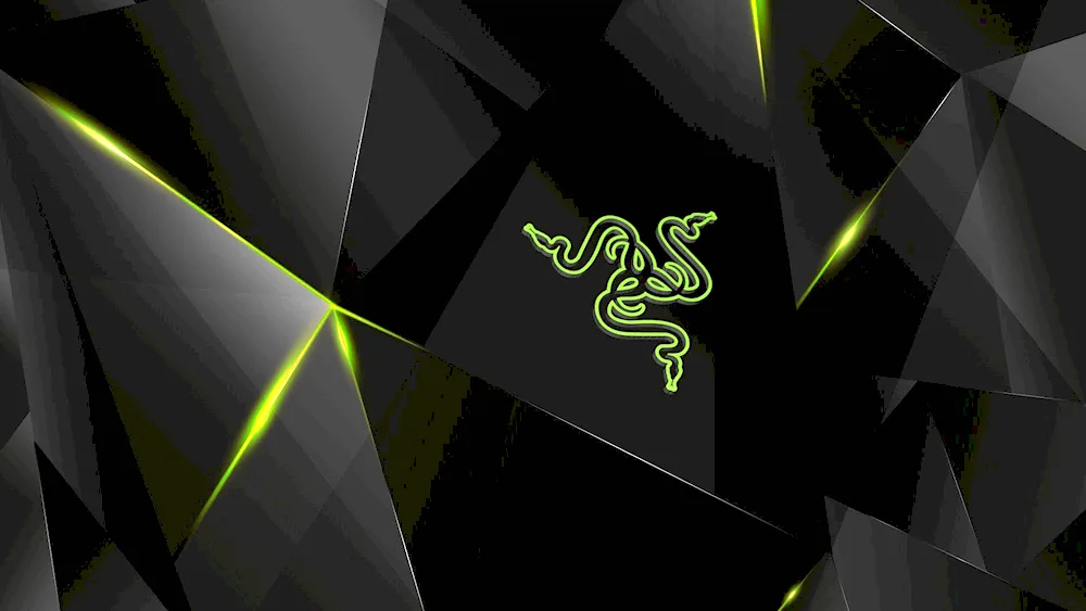 Razer 4k