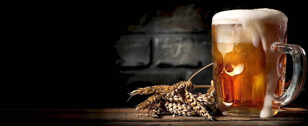 Beer snacks for beer