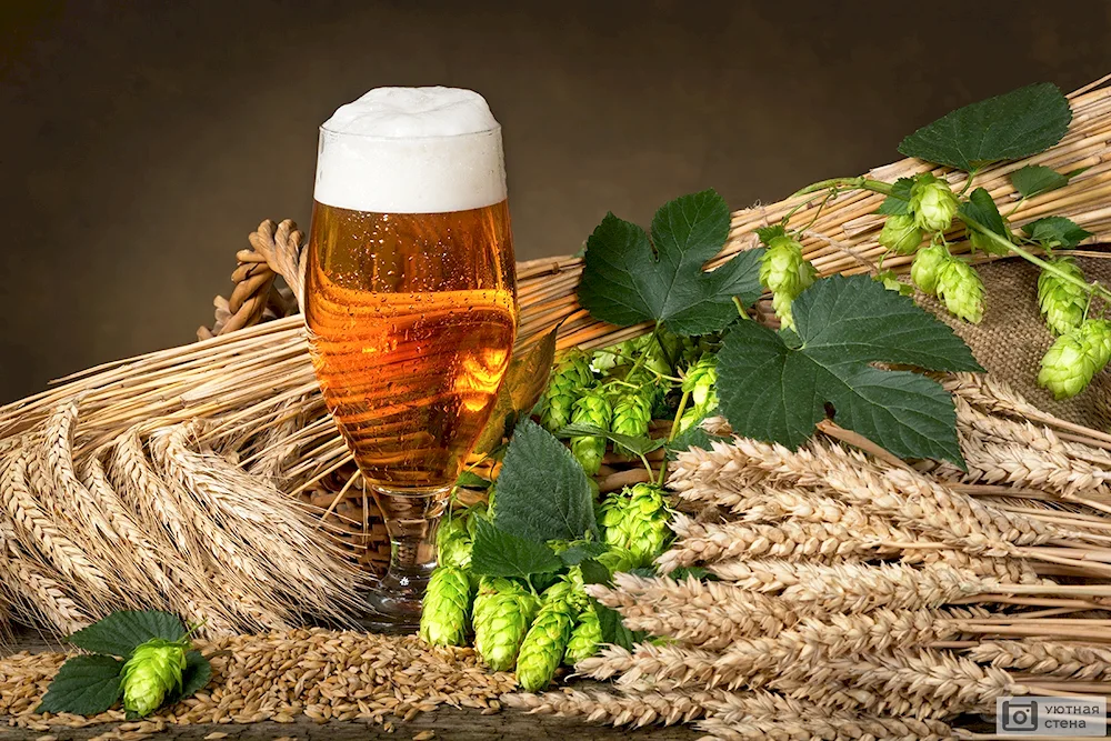 Beer glass