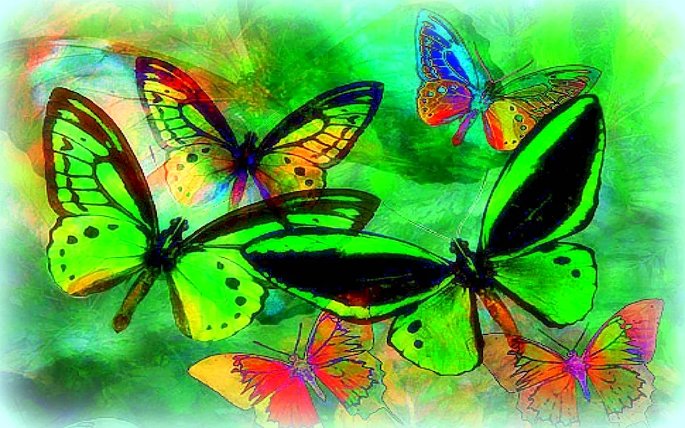 Abstract paintings