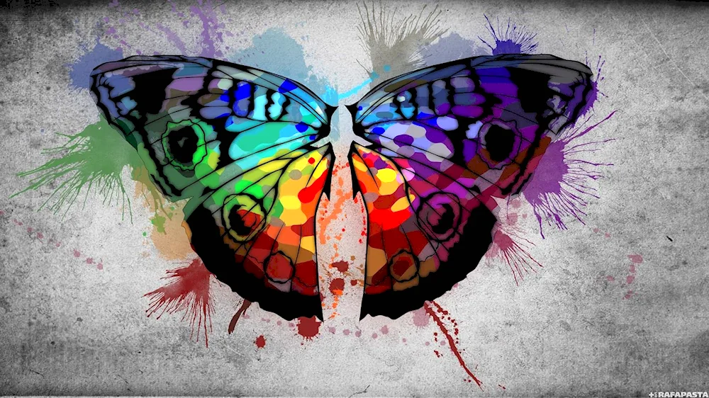 Beautiful butterflies