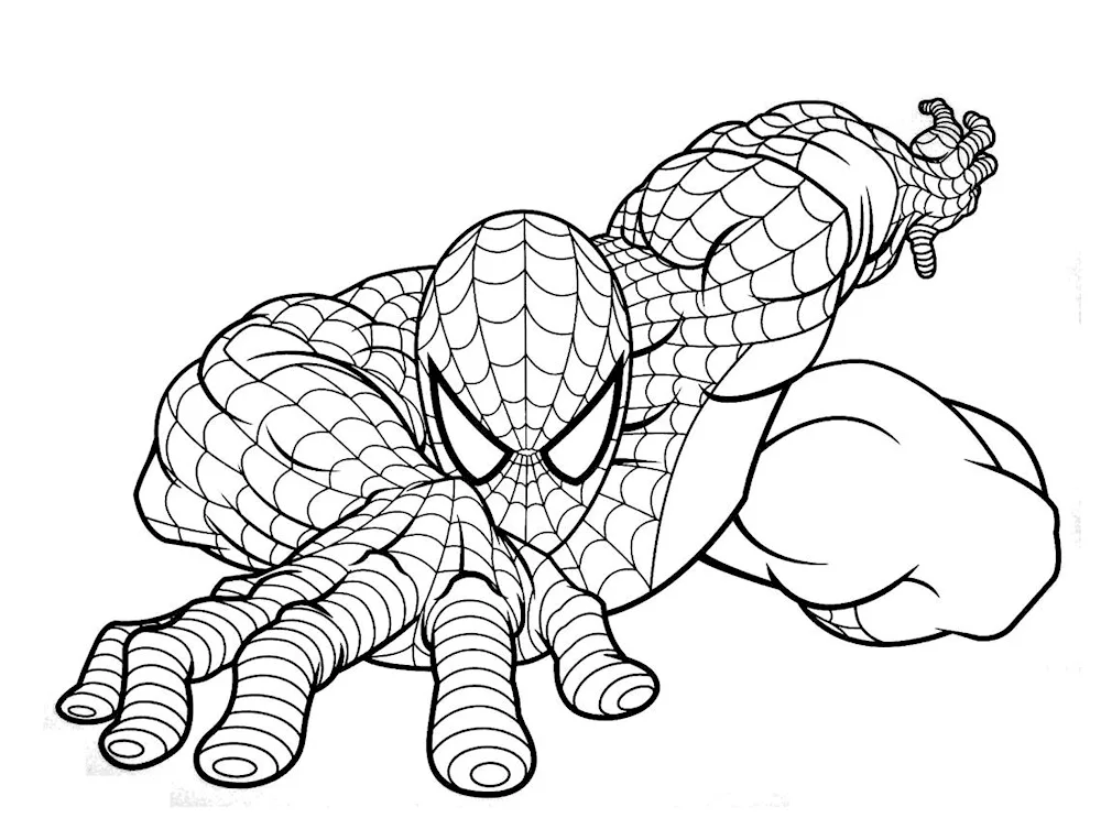 Superheroes colouring book. spider