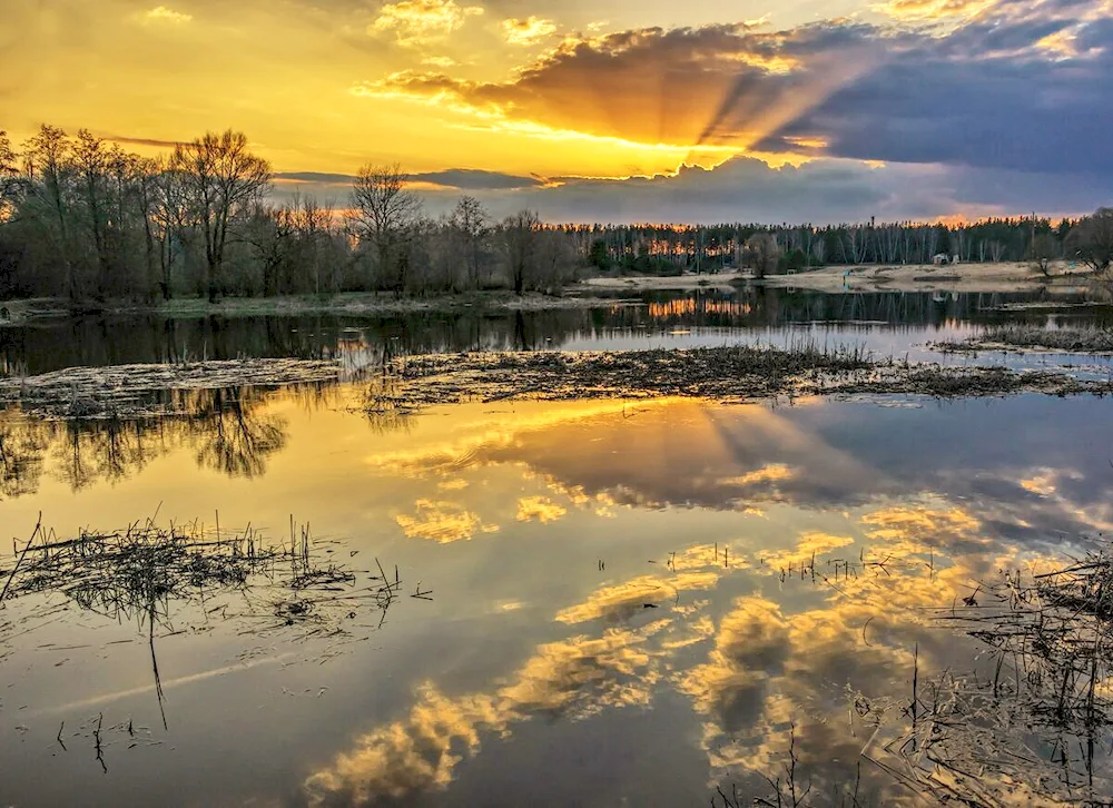 Spring dawn