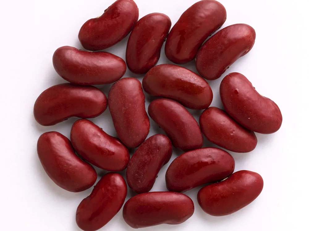 Red Speckled Kidney Bean