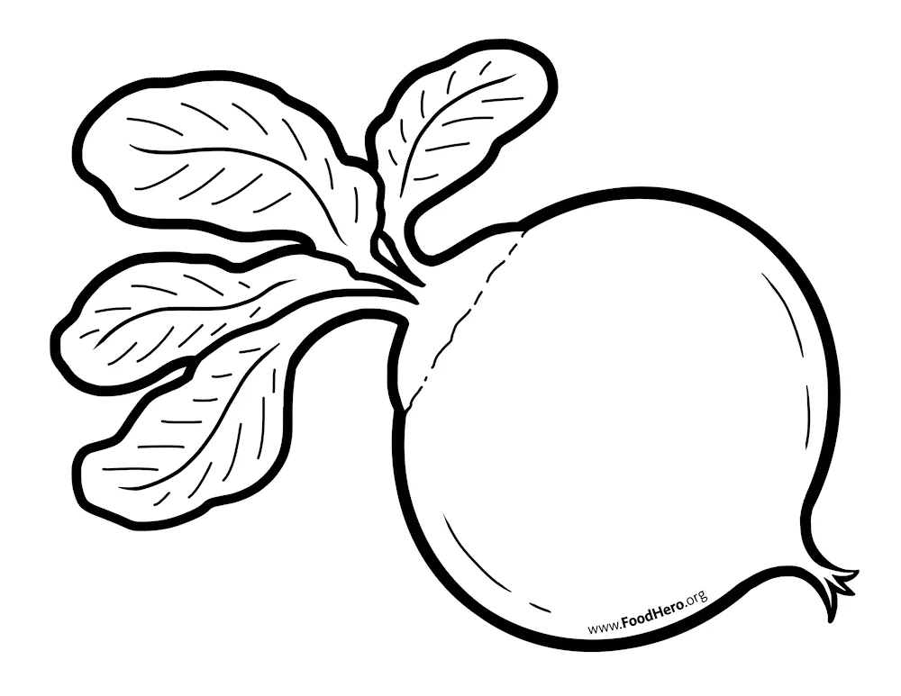 Radish colouring book