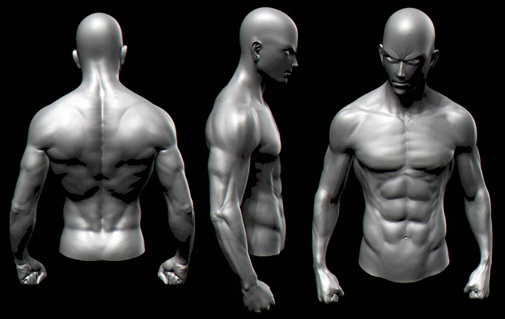 Anatomy of Zbrush a pose