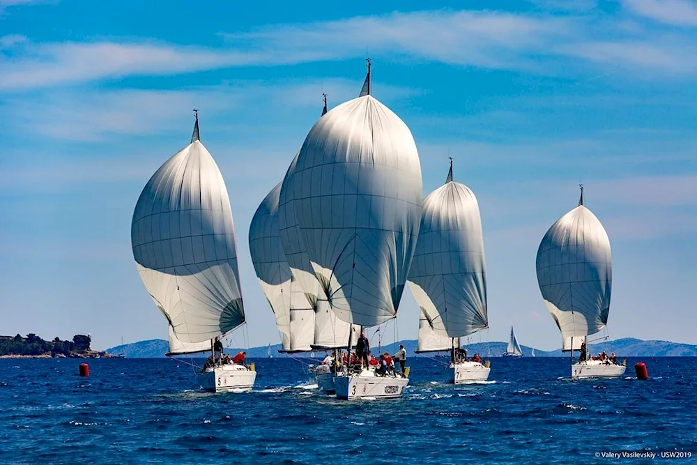 Regatta Alekseev Regatta 2022