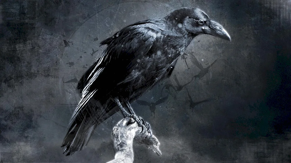 Raven skull art