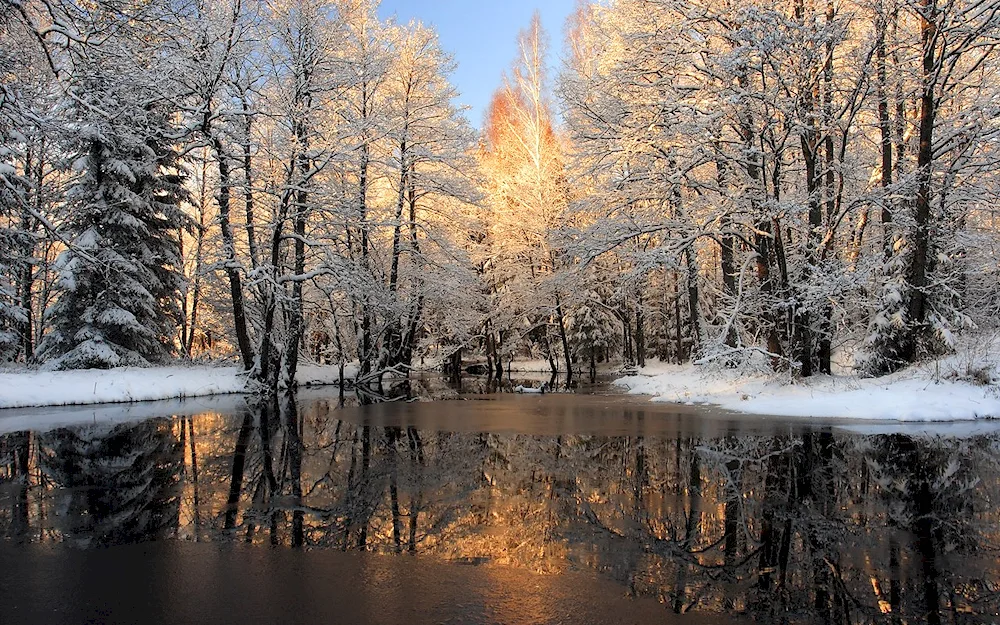 Early spring river Isaac