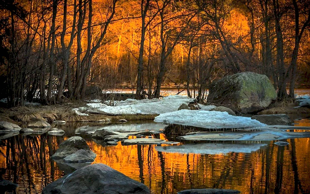 Early Spring river