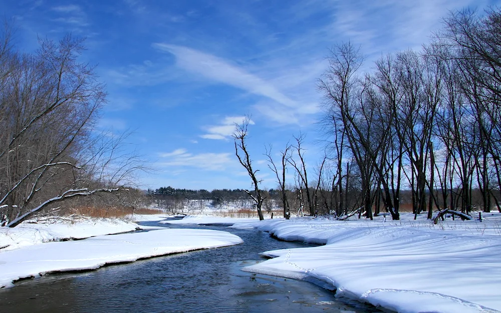 Early Spring river Isaac