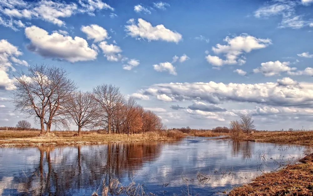 Spring river Isaac