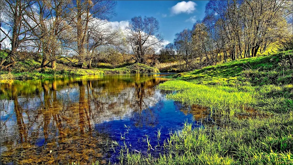 River early spring Isaac