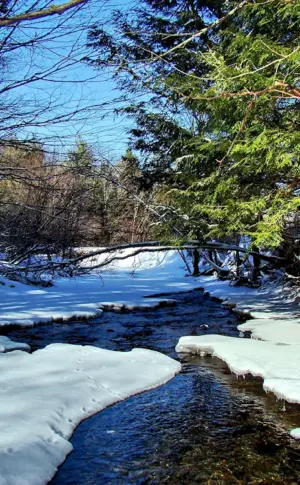 Early Spring River Isaac