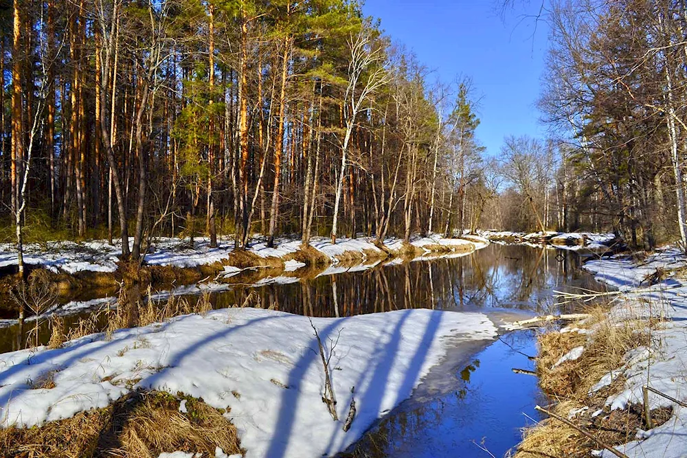 Early Spring River Isaac