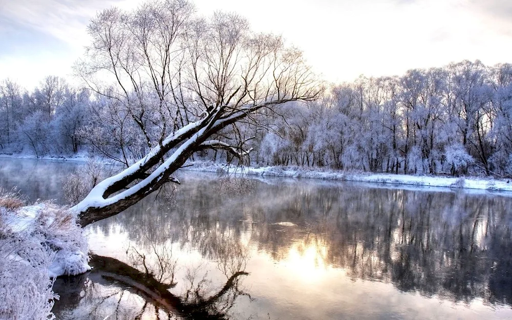 Shapsukho RiverDouglas Preston Winding River