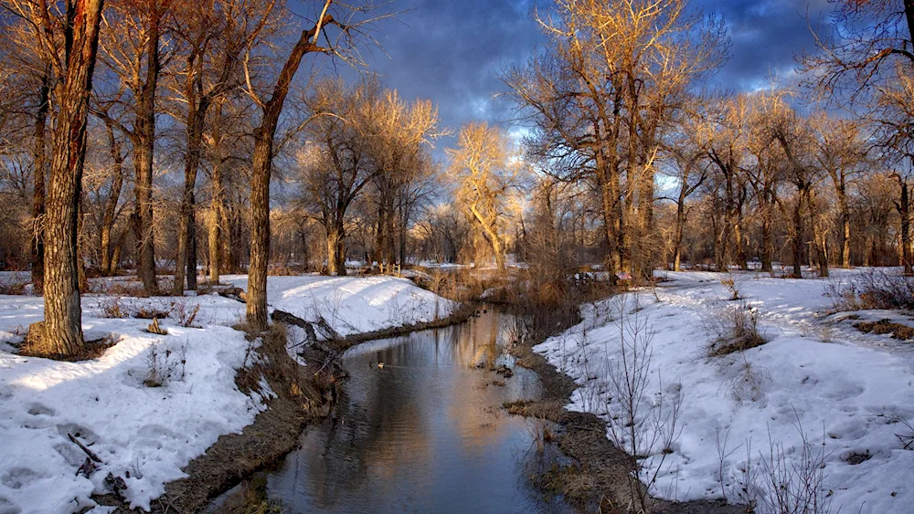 Early Spring nature