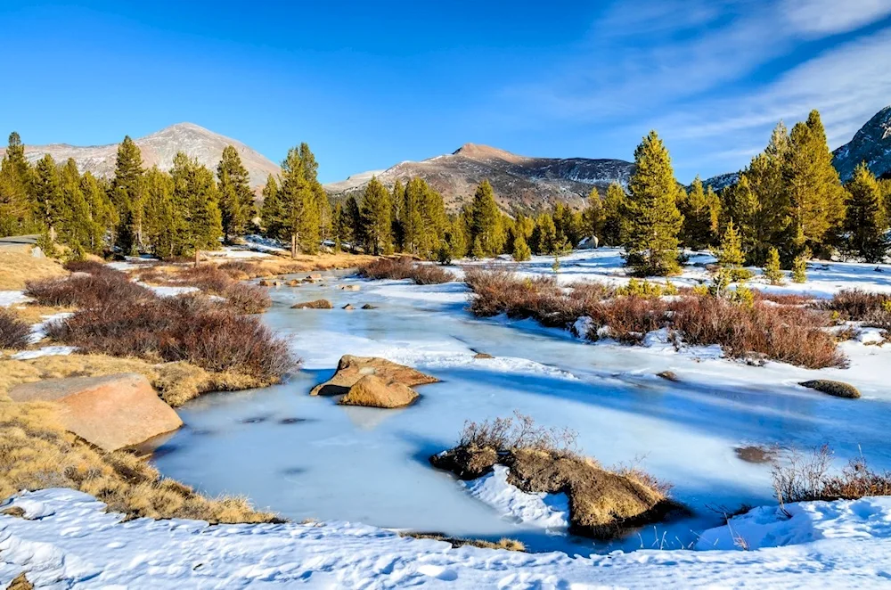 Early Spring River Isaac