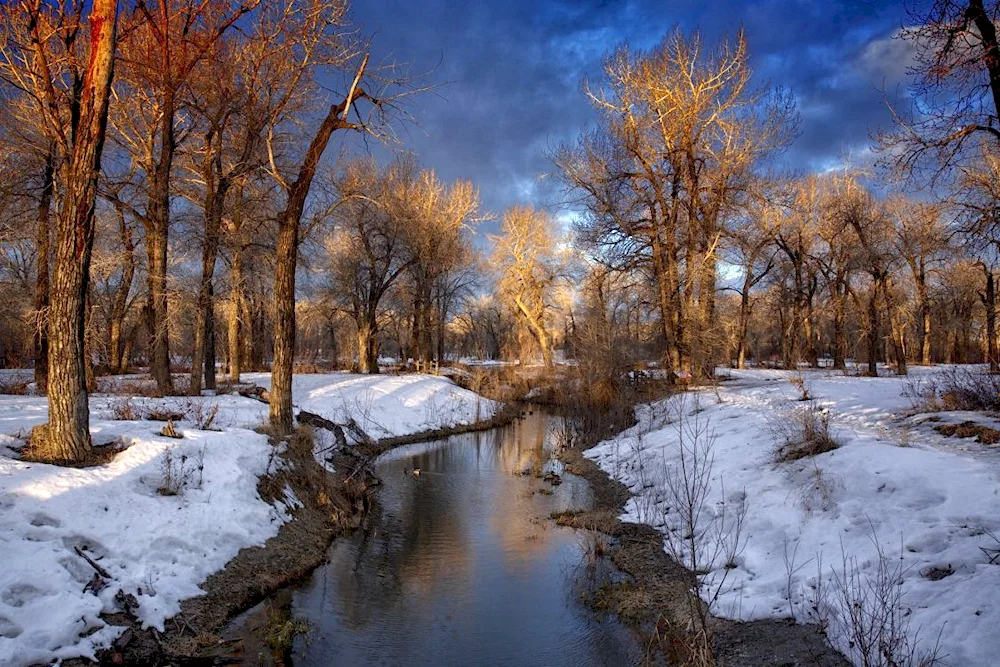 Early Spring River Isaac