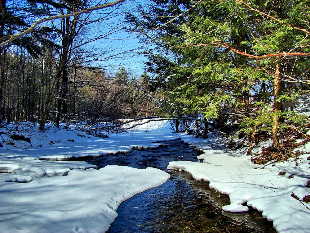 Early Spring River Isaac