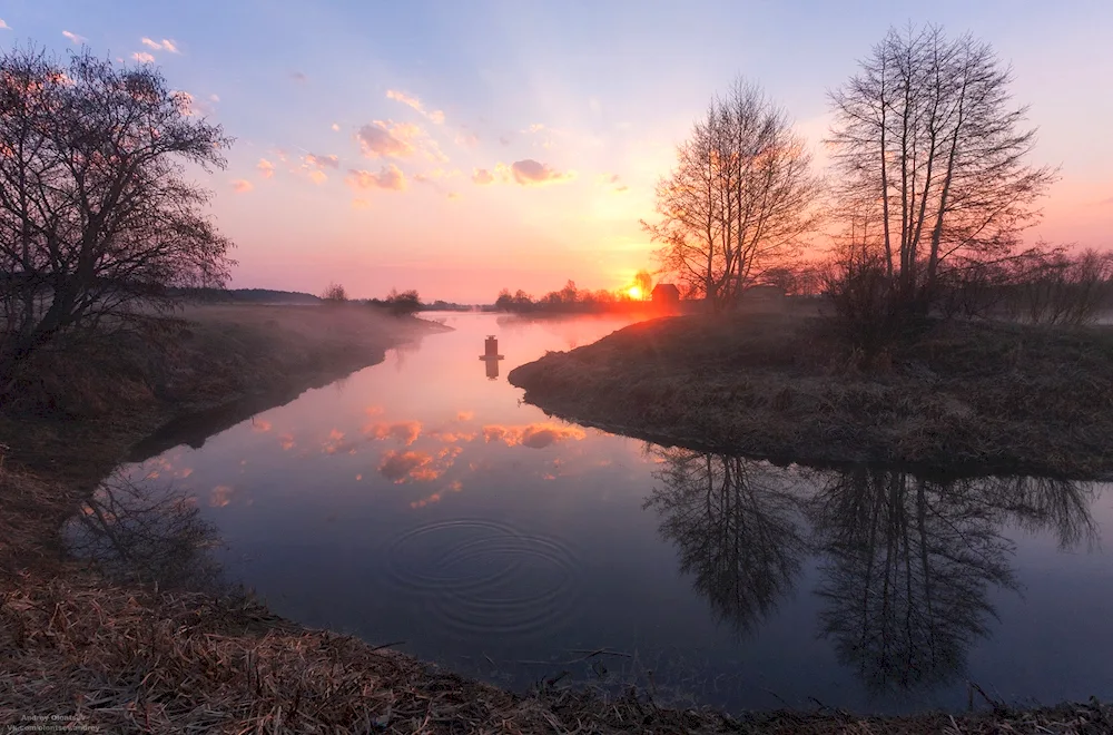 Sunny landscape