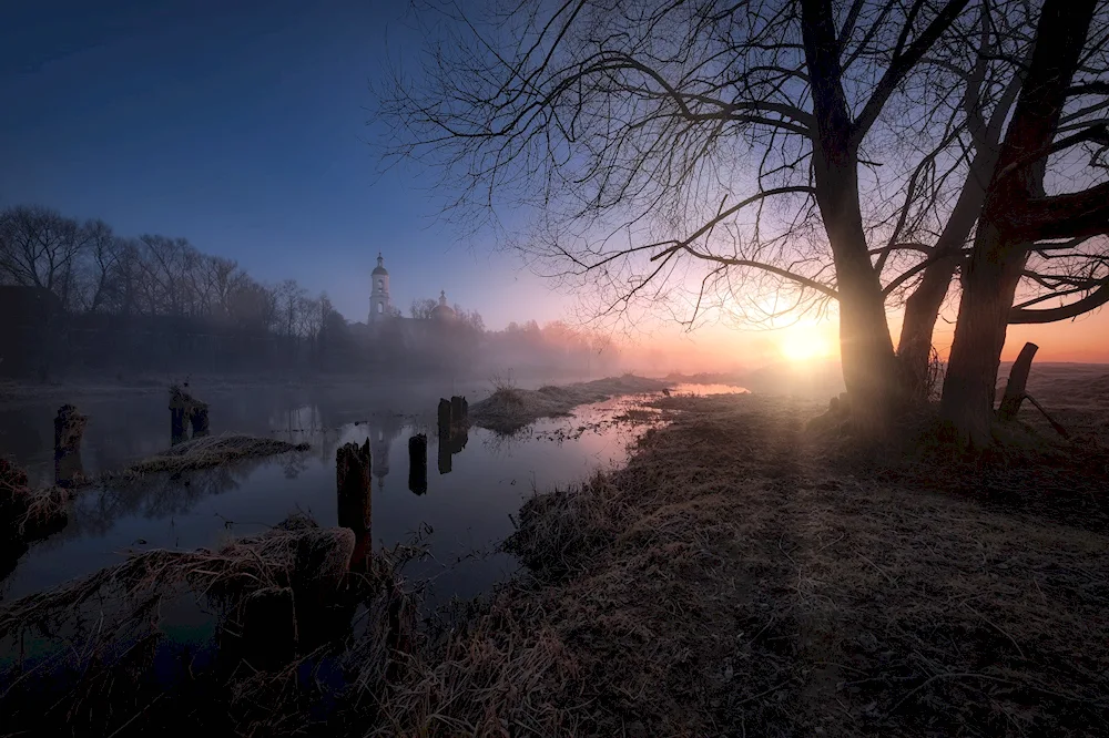 Spring landscape