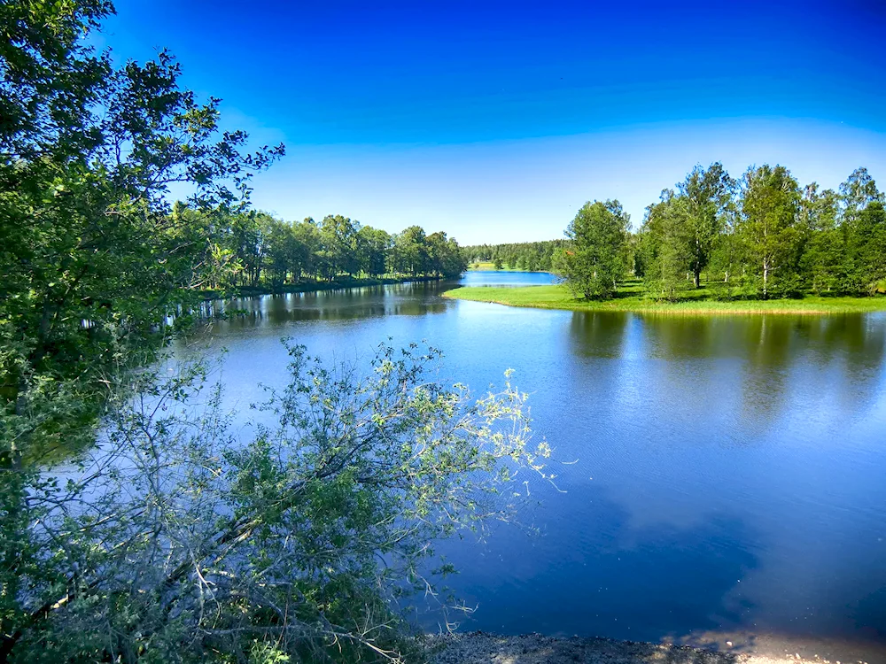 Polle village in Germany