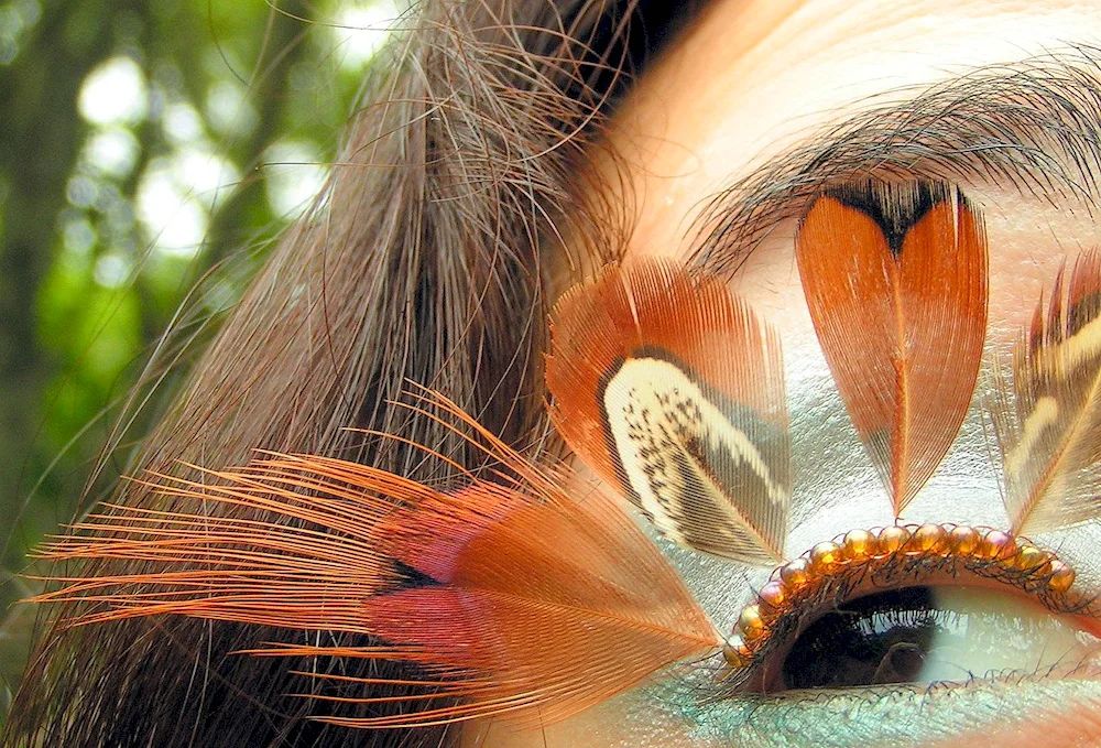 Feathers texture