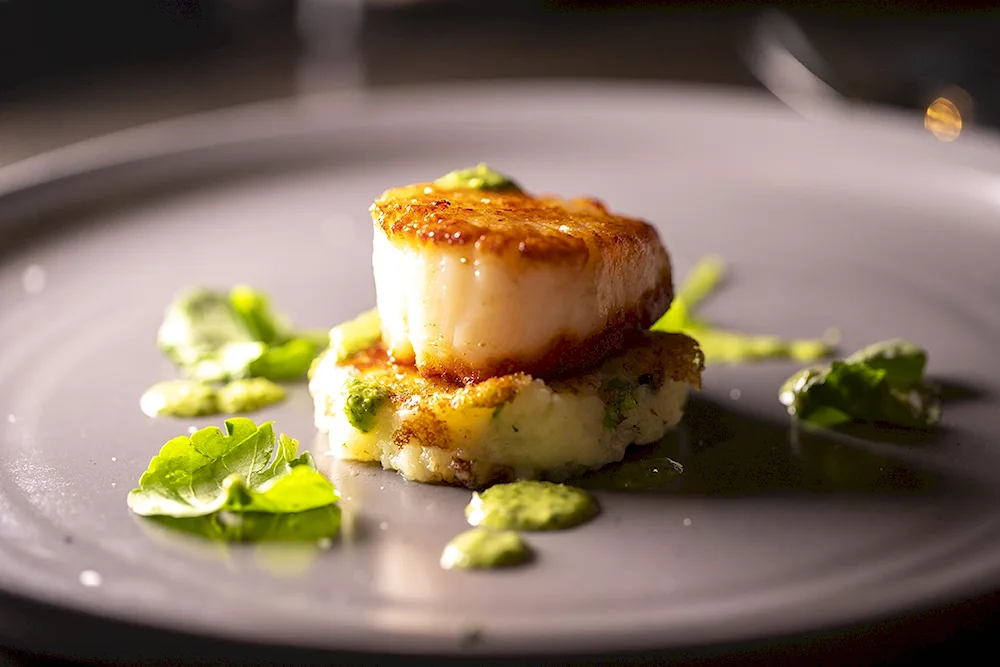 Wine and scallops