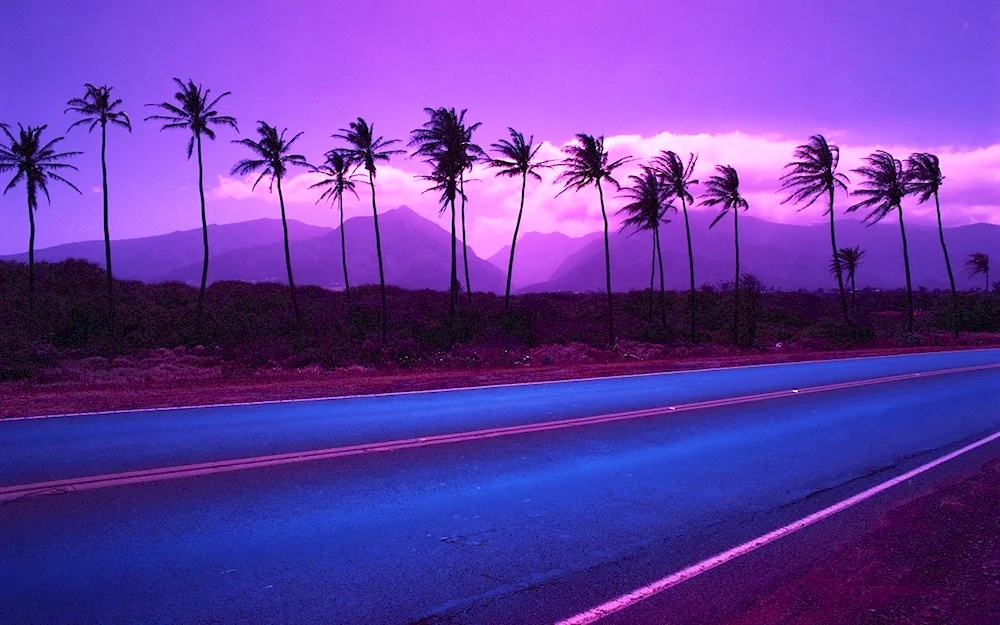 Purple wallpaper