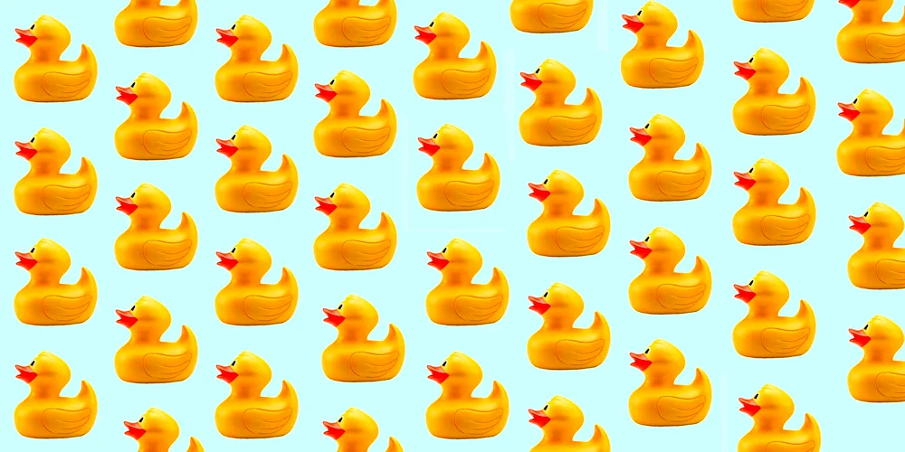 Doodle duck