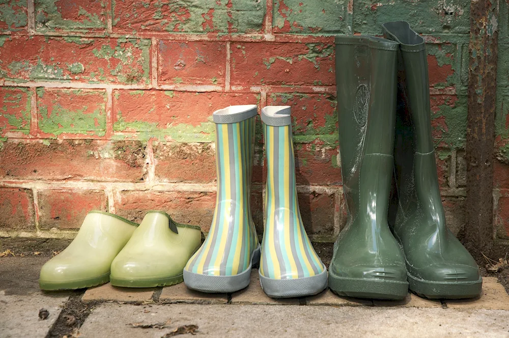 Rubber boots