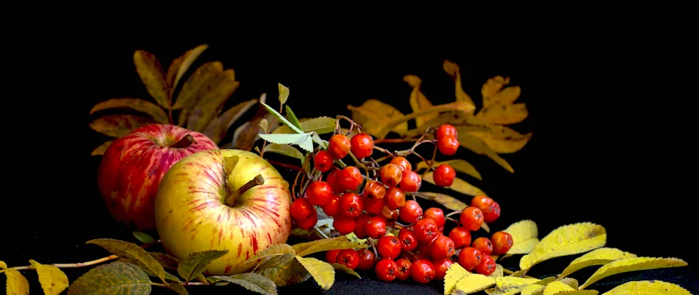 Amberberries in Autumn