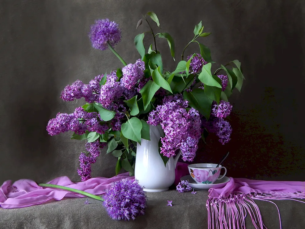 Richard Cooper still lifes